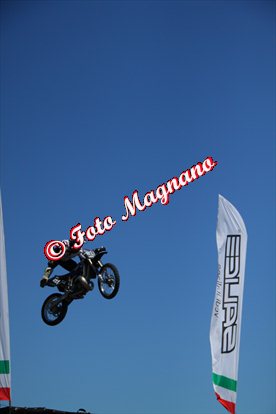 IMG_7533.jpg